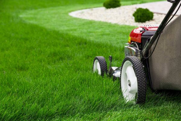 Lawn Cutting Service in Riverton
