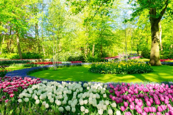 Spring Lawn Care in Riverton