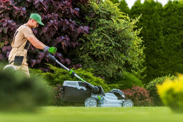 Lawn Management in Riverton