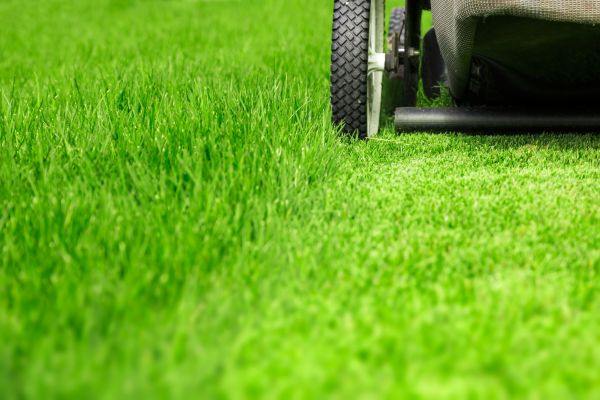 Weekly Lawn Care in Riverton