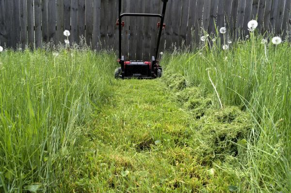 High Grass Mowing in Riverton