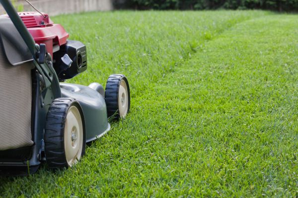 Summer Lawn Care in Riverton