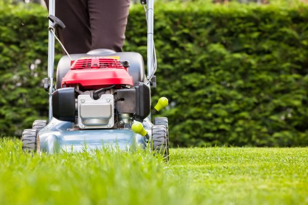Grass Trimming Service in Riverton