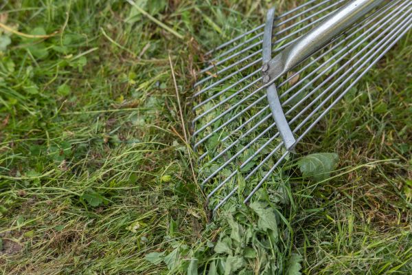 Thatch Raking in Riverton