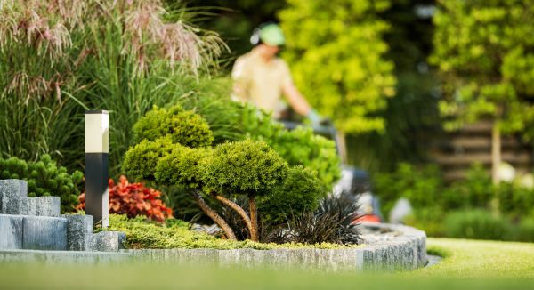 Residential Yard Maintenance in Riverton