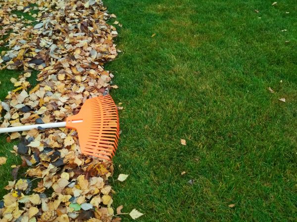 Fall Lawn Care in Riverton