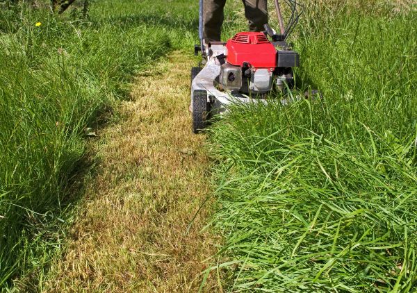 Leaf Mowing in Riverton